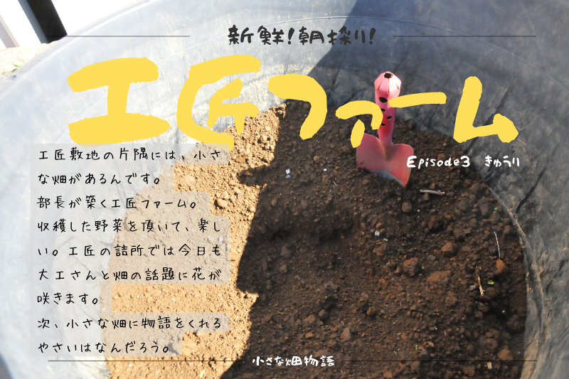 工匠ファーム　Episode３『きゅうり』 アイキャッチ画像