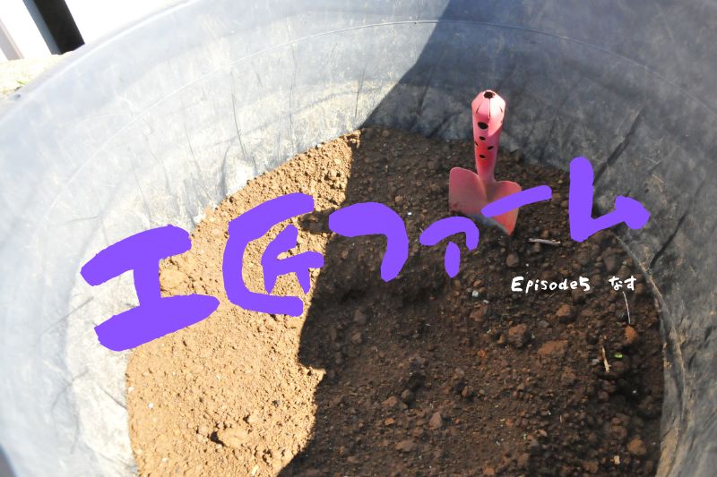 工匠ファーム　Episode５『なす』 アイキャッチ画像