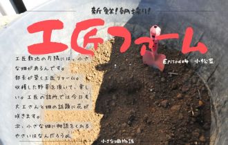 工匠ファーム　Episode４『小松菜』 アイキャッチ画像